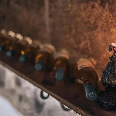 Opera Mansion Santorini 빌라